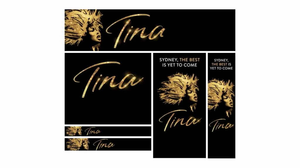 The Tina Turner Musical - HTML5 banner set, picture 2 of 3